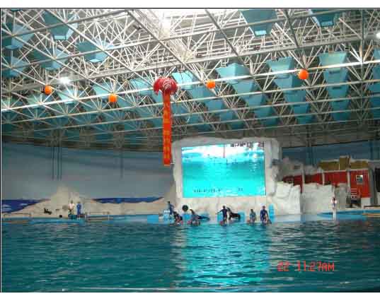 平湖游泳馆螺栓球网架